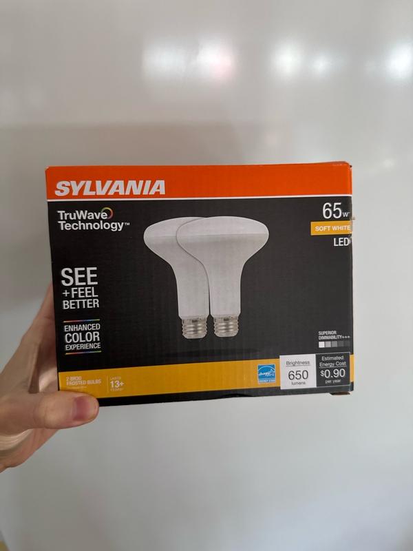 SYLVANIA Natural R20 E26 Medium LED Floodlight Bulb Soft White 45 Watt ...