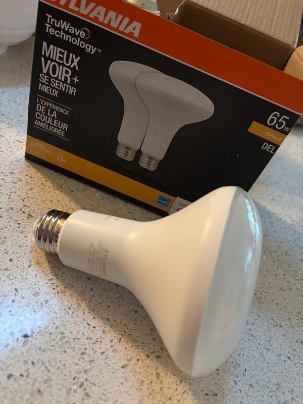 SYLVANIA Natural R20 E26 (Medium) LED Bulb Daylight 50 Watt Equivalence ...