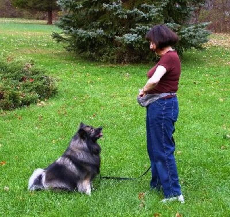 Can you believe this dog was a rescue?