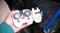 User submitted photo