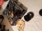 User submitted photo