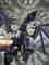 User submitted photo
