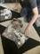 User submitted photo