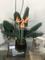 User submitted photo