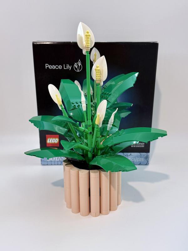 Review Thumbnail Image 0 1218366567