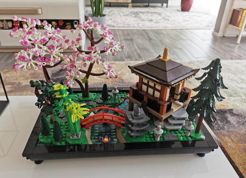 Photo - commentaire 6.