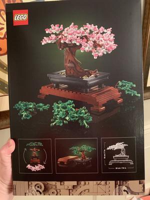 LEGO Icons Bonsai Tree Building Set 10281 - Featuring Cherry Blossom  Flowers, DIY Plant Model for Adults, Creative Gift for Home Décor and  Office Art