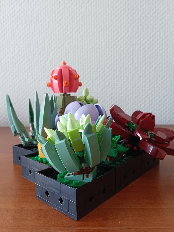 Photo - commentaire 8.