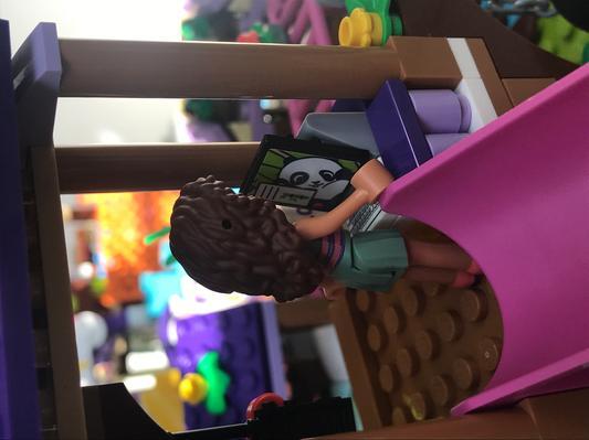 Photo - commentaire&nbsp;6.