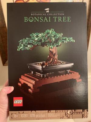  LEGO Icons Bonsai Tree Building Set 10281 - Con flores de  cerezo, modelo de planta de bricolaje para adultos, regalo creativo para  decoración del hogar y arte de oficina, kit de