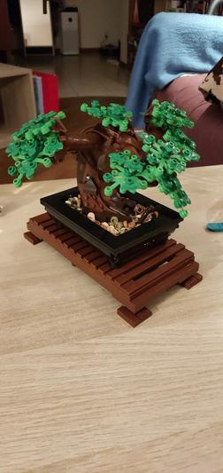 LEGO Adult Builders Expert Bonsai Tree 10281 by LEGO Systems Inc