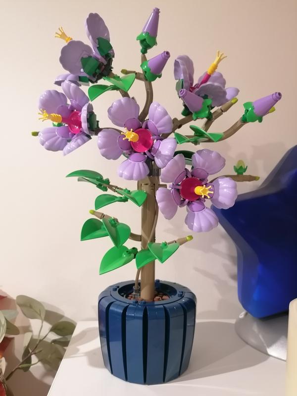 Photo - commentaire 5.