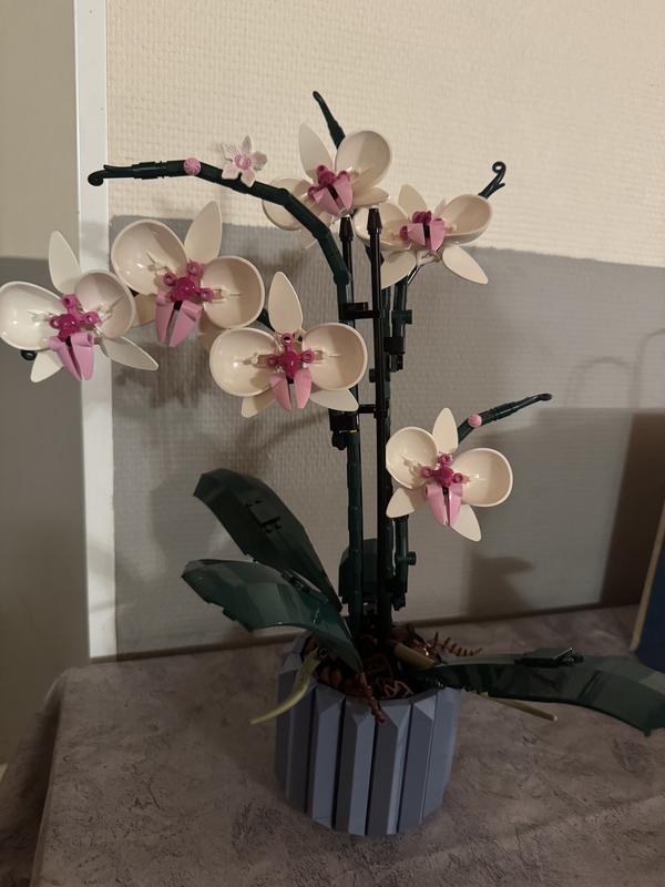 Photo - commentaire&nbsp;8.