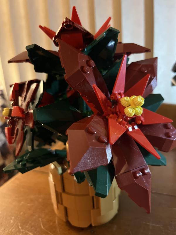 Photo - commentaire&nbsp;1.