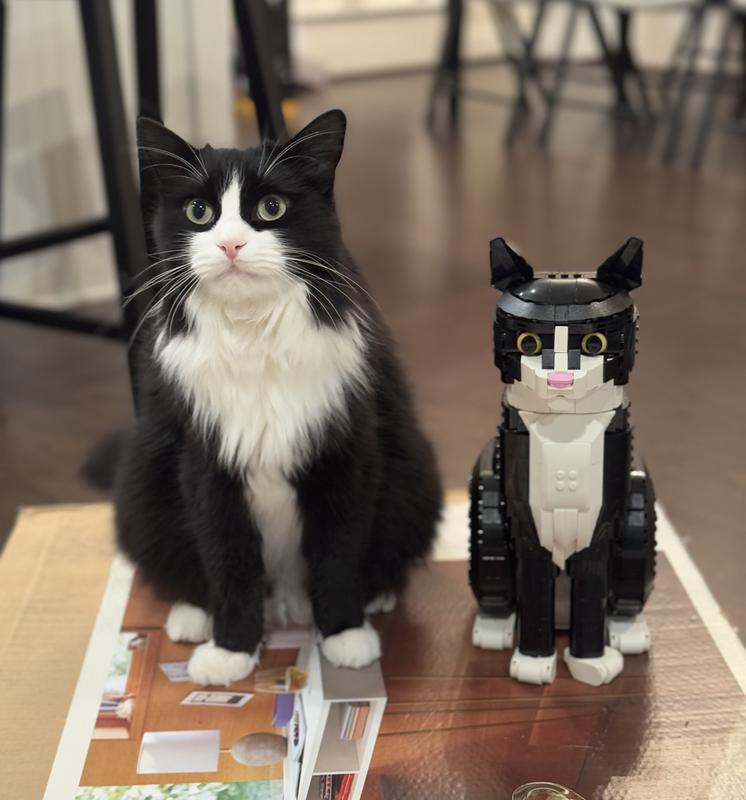 LEGO Ideas Tuxedo Cat 21349 by LEGO Systems Inc. | Barnes LEGO Ideas Tuxedo Cat 21349 by LEGO Systems Inc. | Barnes