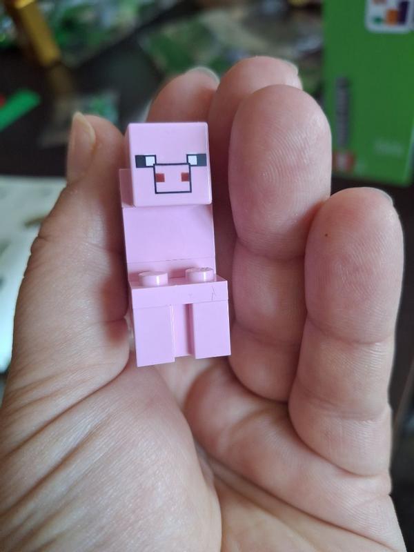 Photo - commentaire&nbsp;8.