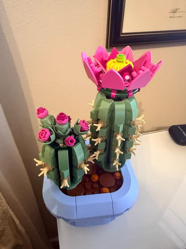 Review Thumbnail Image 0 1215841607