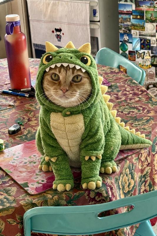 Review Thumbnail Image 0 1213979955