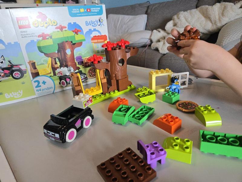 Customer photo for "Speedy Pizza Delivery with Bluey & Muffin"