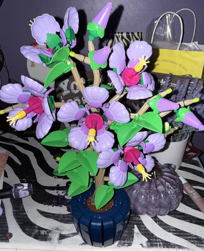 Photo - commentaire 1.