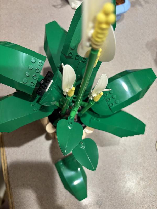 Review Thumbnail Image 0 1215287790