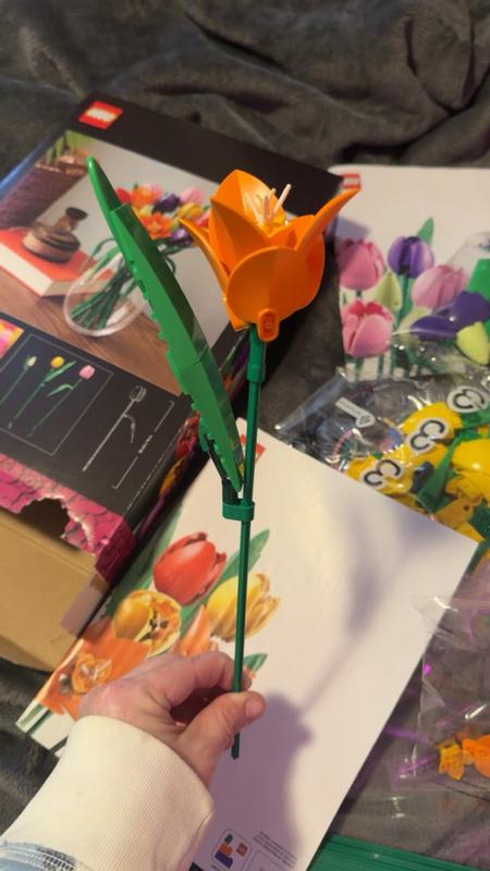 Review Thumbnail Image 0 1214750496