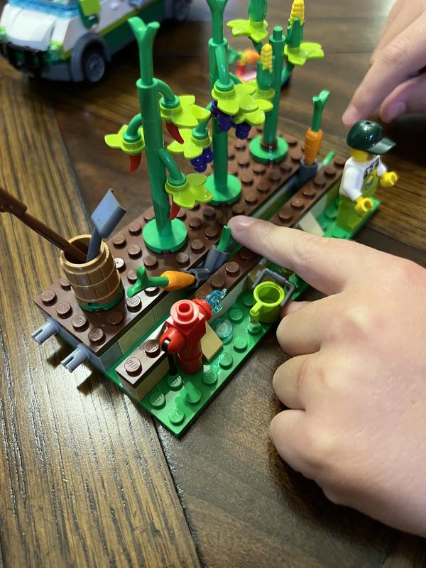 Interactive carrot patch