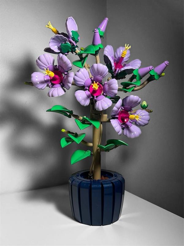 Photo - commentaire 2.