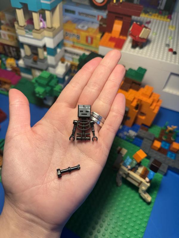 Photo - commentaire 1.