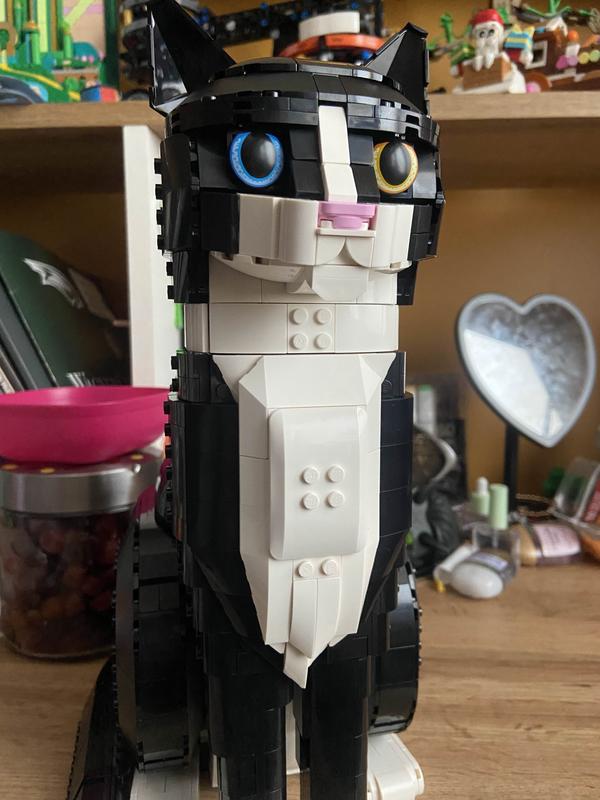 Photo - commentaire&nbsp;2.