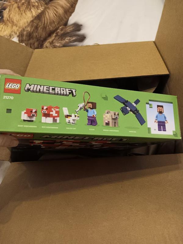 Photo - commentaire 5.