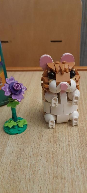 Review Thumbnail Image 1 1216102983