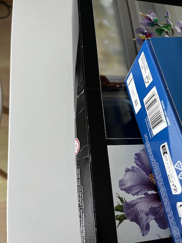 Photo - commentaire 6.