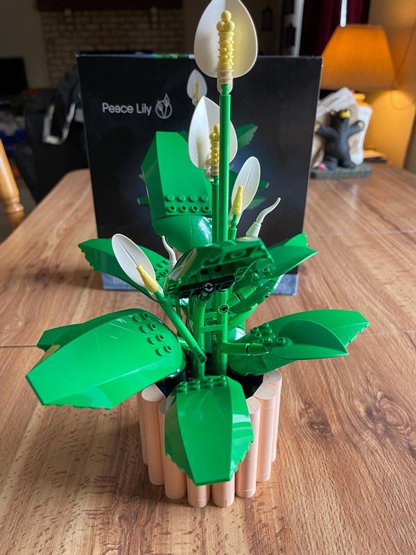 Review Thumbnail Image 0 1214634725