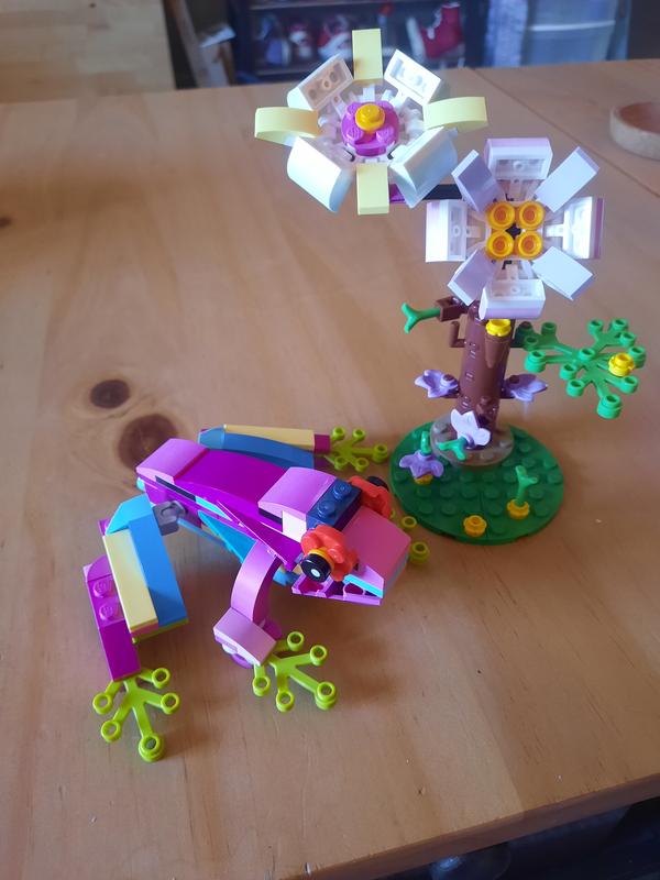 Photo - commentaire&nbsp;6.