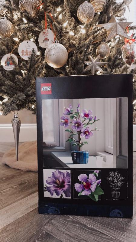 Photo - commentaire 3.