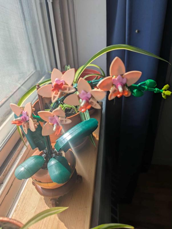 Photo - commentaire&nbsp;1.