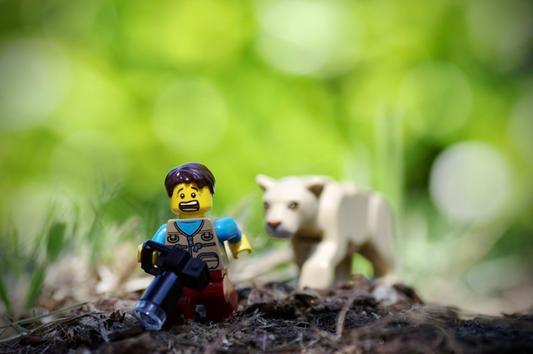 Peur bleue dans le jardin !