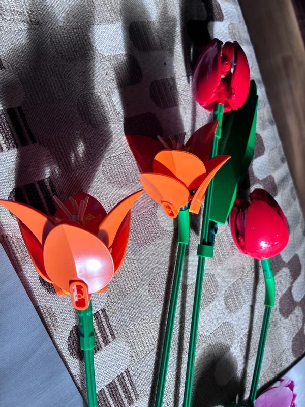 Review Thumbnail Image 2 1215211993