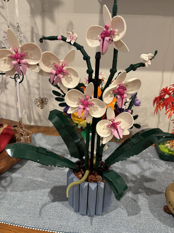 Photo - commentaire&nbsp;1.