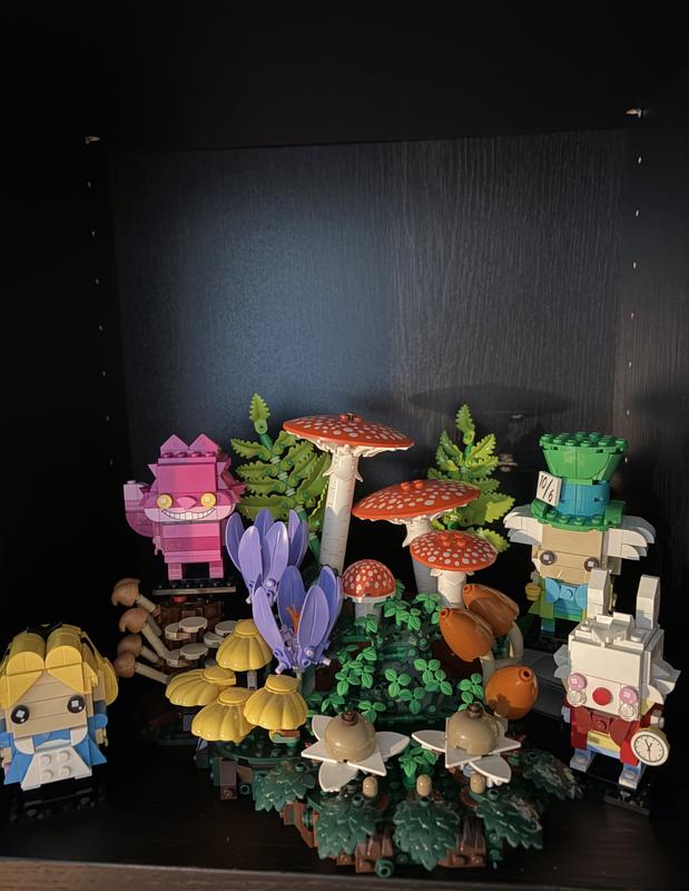 Review photo 2.