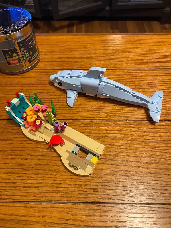 Review Thumbnail Image 0 1213265146