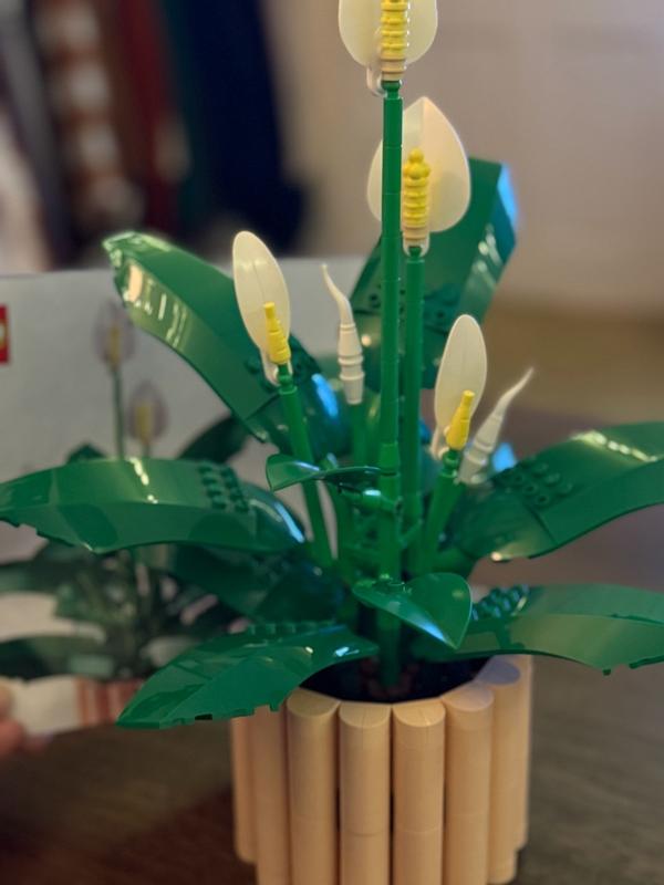 Review Thumbnail Image 3 1213513447