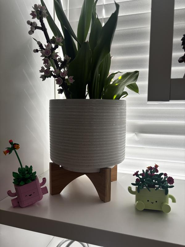Customer photo for "Super Cute"