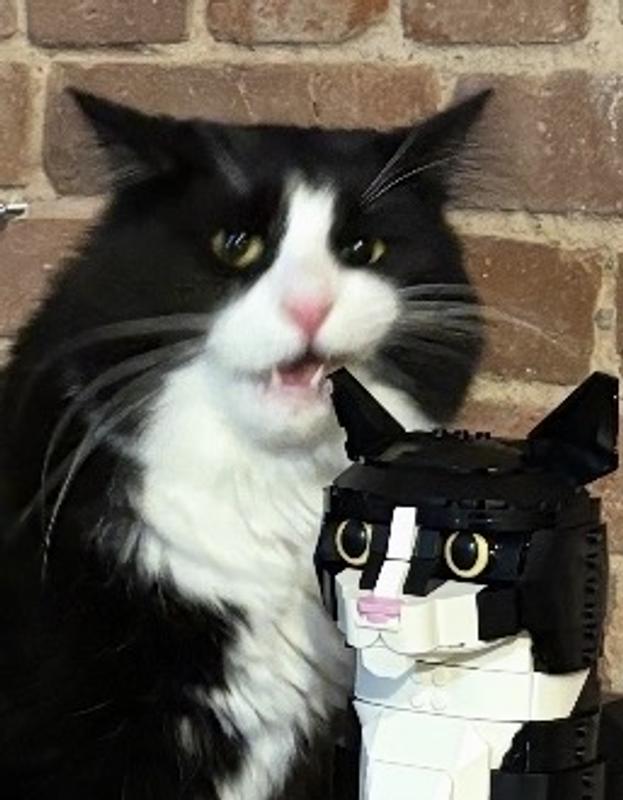 Photo - commentaire&nbsp;1.