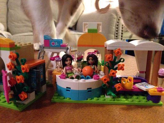 Clearly my dog Dolly loves it too!