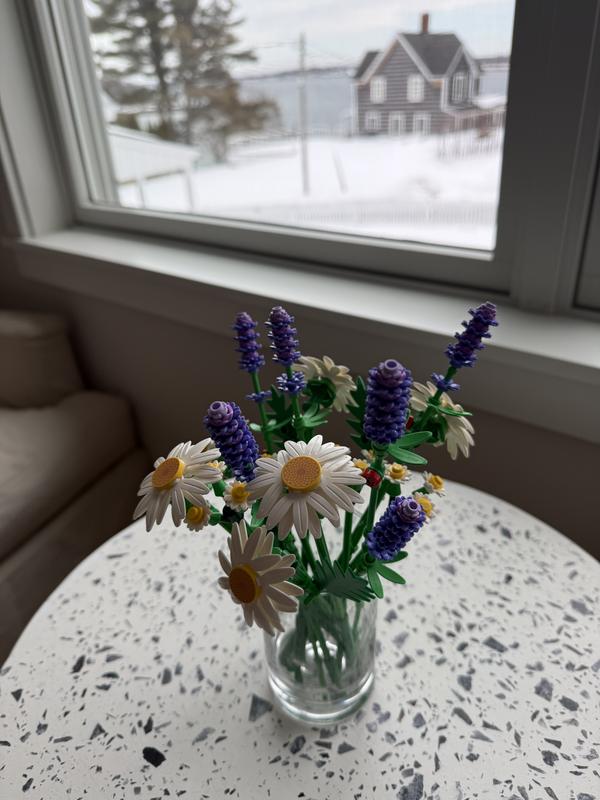 Review Thumbnail Image 0 1214145636