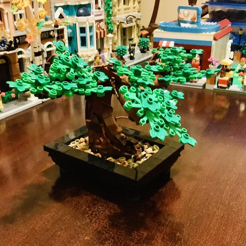 Barnes and best sale noble lego bonsai