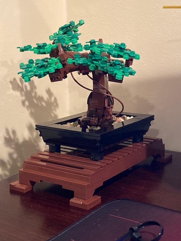 Lego Bonsai Tree Building Kit 10281 Botanical Collection 878 Pieces In Hand  673419340533