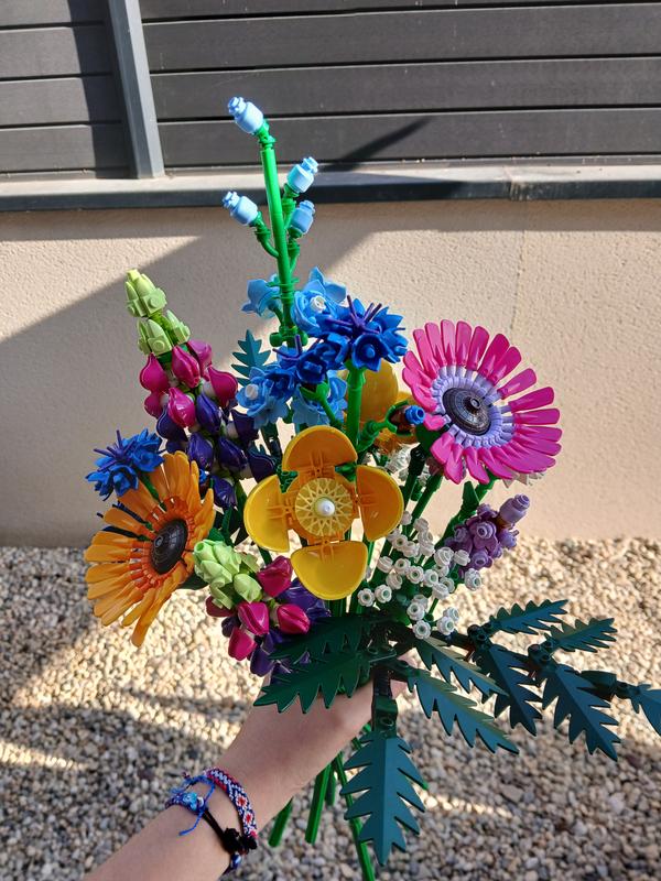 Photo - commentaire&nbsp;2.